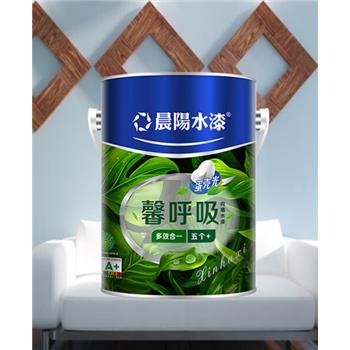 晨阳水漆蛋壳光艺术漆自刷易施工小桶漆 丝光5L